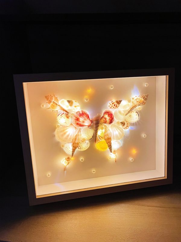 自制 贝壳海螺标本装饰画 展示相框 手工diy小夜灯 月亮 礼物 - 图片 2