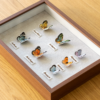 Embroidery DIY handmade couple gift photo frame pendant butterfly specimen decorative painting - Image 3