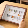Embroidery DIY handmade couple gift photo frame pendant butterfly specimen decorative painting - Image 4