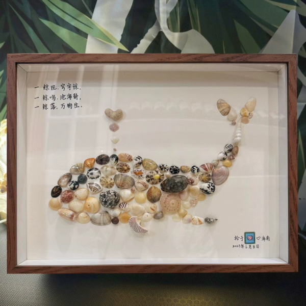 自制 贝壳海螺标本装饰画 展示相框 手工diy小夜灯 月亮 礼物 - 图片 3