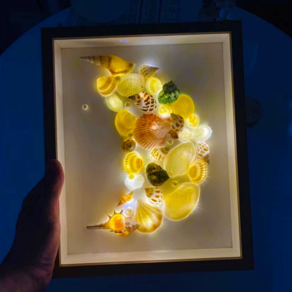 自制 贝壳海螺标本装饰画 展示相框 手工diy小夜灯 月亮 礼物 - 图片 4